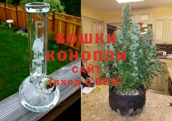 apvp Осташков